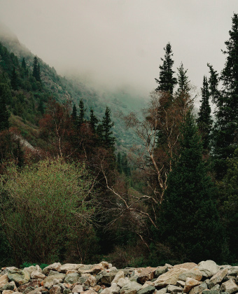 Awesome Image